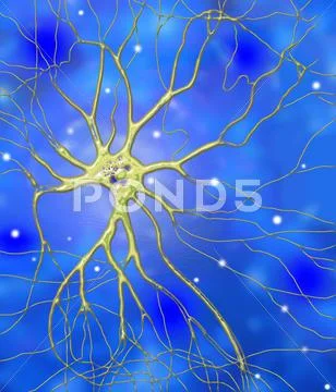 Nerve cell, artwork Stock Illustration