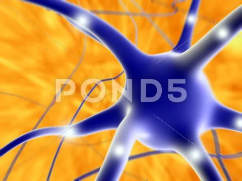 Nerve cell, artwork Stock Illustration