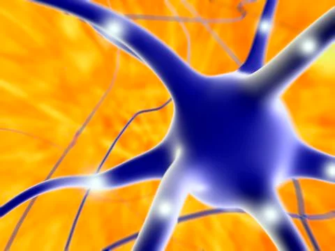 Nerve cell, artwork Stock Illustration
