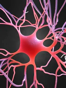 Nerve cell, artwork Stock Illustration