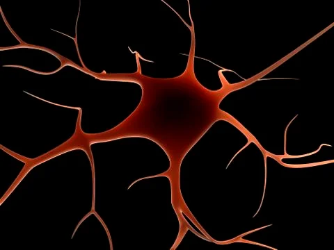Nerve cell, artwork Stock Illustration