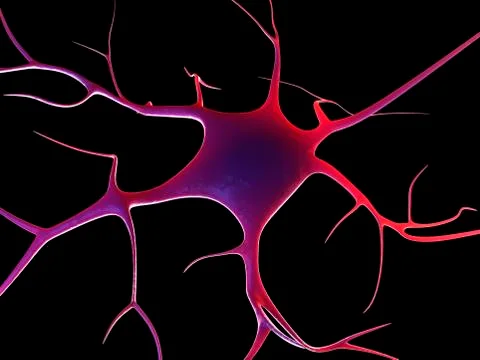 Nerve cell, artwork Stock Illustration