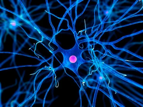 Nerve cell, artwork Stock Illustration