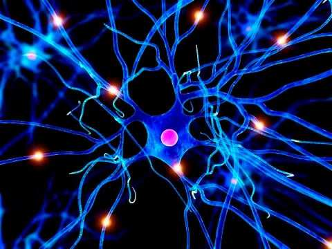 Nerve cell, artwork Stock Illustration