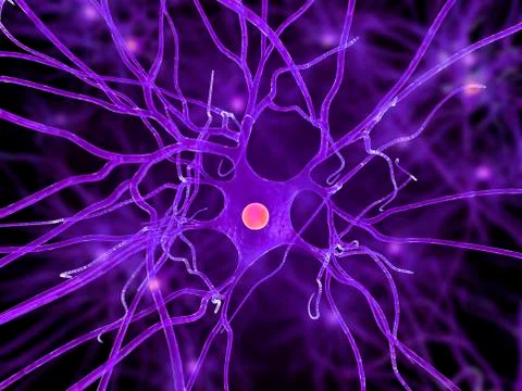 Nerve cell, artwork Stock Illustration