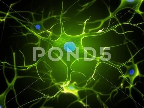 Nerve cell, artwork Stock Illustration