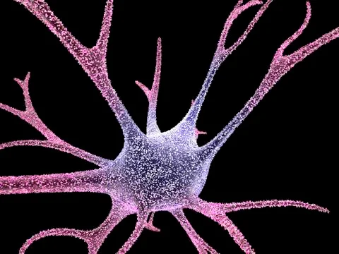 Nerve cell, computer artwork Stock Illustration