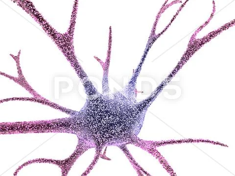 Nerve cell, computer artwork Stock Illustration