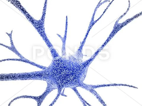 Nerve cell, computer artwork Stock Illustration