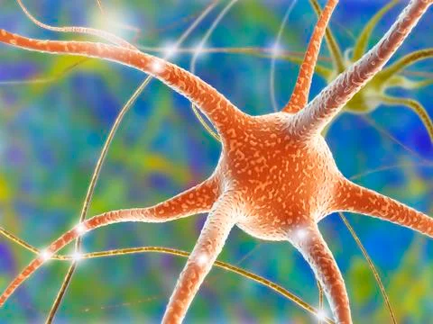 Nerve cell, computer artwork Stock Illustration