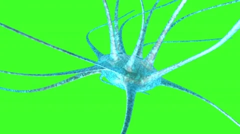 Nerve cell Stock Footage 41624112