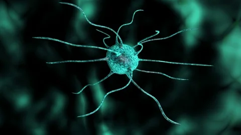 Nerve Cell 스톡 동영상 79676190