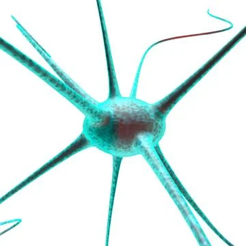 Nerve cell in the human body. Macro scale. 3D illustration Stock Illustration