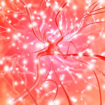 Nerve cell Stock Illustration