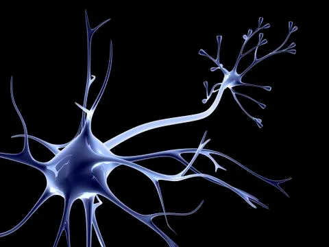 Nerve cell Stock Illustration