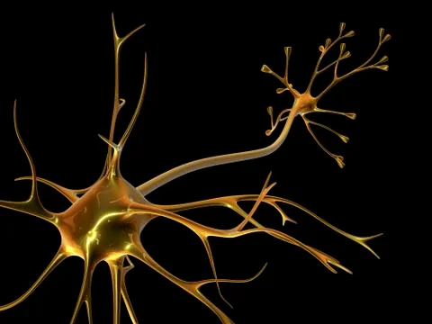 Nerve cell Stock Illustration