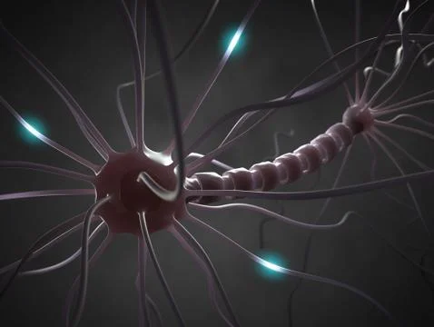 Nerve Cell Stock-Illustration