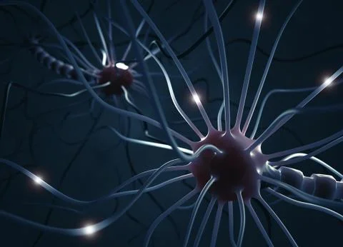 Nerve Cell Stock Illustration