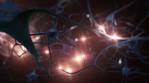 Nerve cell. Loopable. Yellow impulses. Stock Footage 25029345