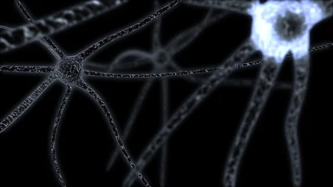 Nerve cell network in the brain, 3d animation Stock Footage 88353938