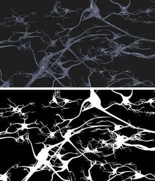 Nerve cells with alpha mask Stock Illustration