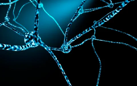 Nerve cells and neuronal network Stock Illustration