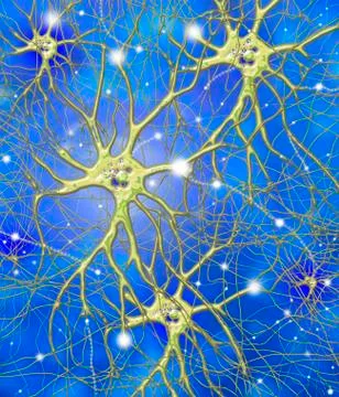 Nerve cells, artwork Stock Illustration