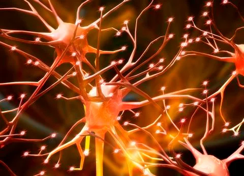Nerve cells, artwork Stock Illustration