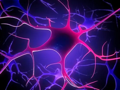 Nerve cells, artwork Stock Illustration