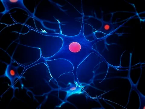 Nerve cells, artwork Stock Illustration