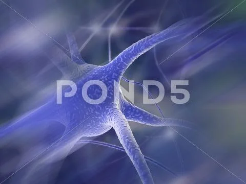 Nerve cells, artwork Stock Illustration