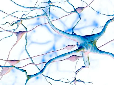 Nerve cells, computer artwork Stock Illustration