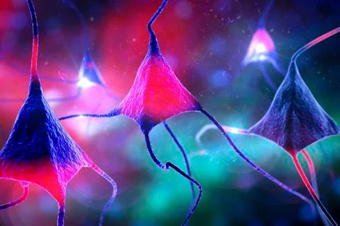 Nerve cells, illustration Stock Illustration