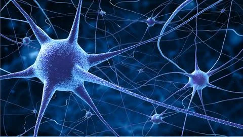 Nerve cells Stock Photos