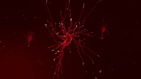 Nerve Cells Signal Pass Stock Footage 273235748