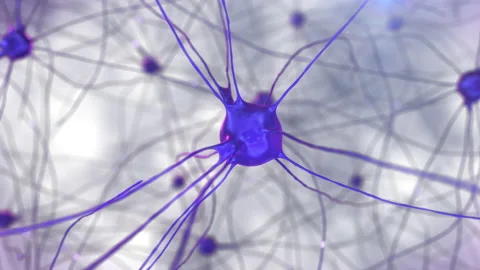 Nerve cells, synapses and axons transfers signals and impulses among themselves Stock Footage 235628801