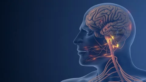 Nerve Dysfunction Causing Pain in Facial Region Stock Footage 295050254