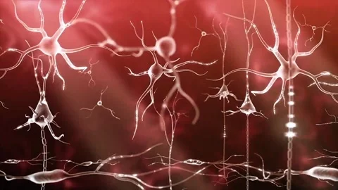 Nerve impulse and formation of synapse Stock Footage 333203297