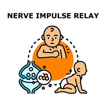 Nerve impulse relay causing baby crawling movement Stock Illustration
