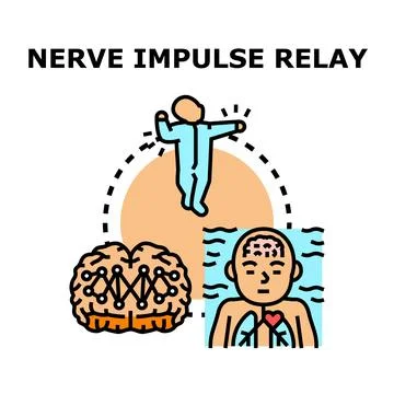 Nerve impulse relay system and human body signals Stock Illustration