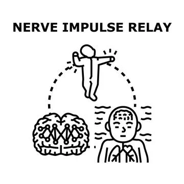 Nerve impulse relay system and human body signals Stock Illustration