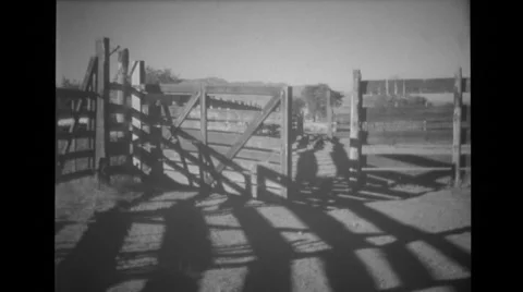 Nerves of the Army 4 Stock Footage 36306806