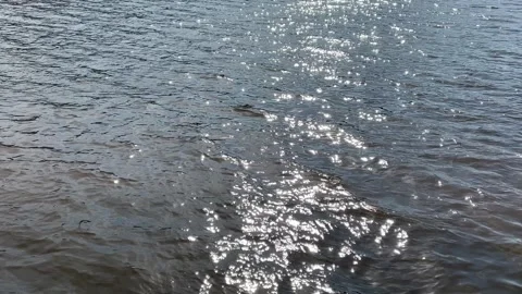 Nervion river flow in Bilbao, spain Stock Footage 247784794