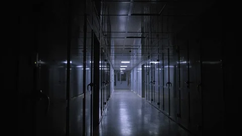 Nervous flashes of light in the hallway Stock Footage 101014193