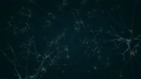 Nervous system in a 3D animation Stock Footage 235635275