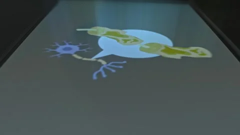 The nervous system and Multiple Sclerosis presentation Stock Footage 303913150