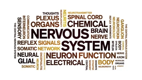 Nervous System animated word cloud,animation kinetic typography seamless loop. Stock Footage 324576473