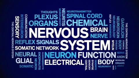Nervous System animated word cloud,animation kinetic typography seamless loop. Stock Footage 324576678