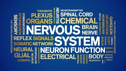 Nervous System animated word cloud,animation kinetic typography seamless loop. Stock Footage 324577061