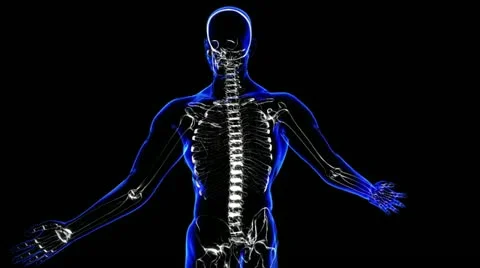 Nervous system Vidéo 21893580